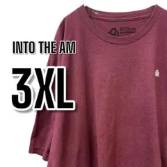 【899】INTO THE AM 大きめ ワインUSA古着 半袖Tシャツ
