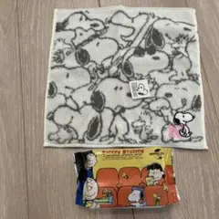 スヌーピー タオル ハンカチ　ウェットシート　イニシャルN