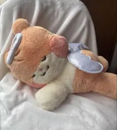 zb1 ゼベワン zeroni エンジェル ぬいぐるみ ハンビン ビニニ ラスト