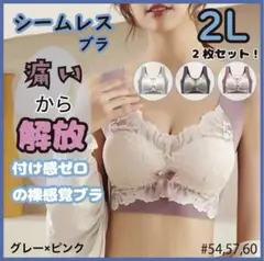 シームレスブラ　2L レース下着　グレー×ピンク　2個セット