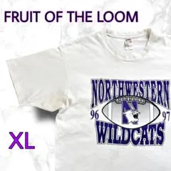 フルーツオブザルーム◆Tシャツ◆90s◆シングルステッチ◆USA製◆フェード