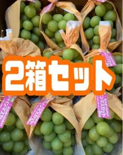 【のんびりさん 8/11以降発送‼︎】山梨県産シャインマスカット4kg のんびりさん様専用 8/11以降発送‼︎】山梨県産シャインマスカット4kg