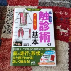 2026年最新】筋骨格の人気アイテム - メルカリ