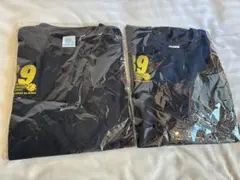 【新品2枚セット】2025 第39回那覇 NAHAマラソン 参加T Mサイズ