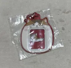 ハイキュー!! ミニフォトホルダー ヒナガラスデザイン　ケンマネコ　狐爪研磨