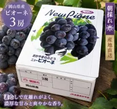 岡山県産ニューピオーネ 4房 - メルカリ
