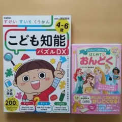 知能パズル「 ずけい・すいり・くうかん」& 「ディズニーはじめてのおんどく」