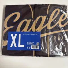 Item thumbnail for item 4a2d3134-a5c1-4731-92e7-94b368be903f