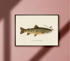 nao様 リクエスト 2点 まとめ商品