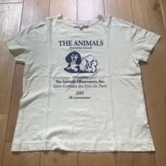 【美品】tao 半袖Tシャツのサムネイル