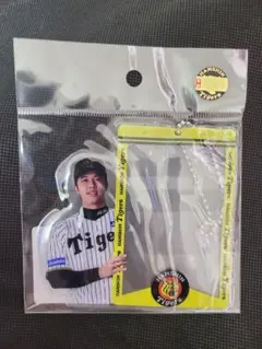 Item thumbnail for item c6df47e6-4a51-48ce-88a2-f5589c3b15f0