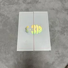 StrayKids  S-318 JAPAN 2023  シーグリ