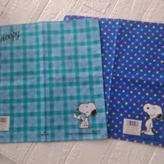 Item thumbnail for item 712cd5ea-1a64-40d0-bed6-a8bff590abd2