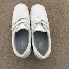 Item thumbnail for item 32034469-c229-4496-a786-6aff9922bb8b