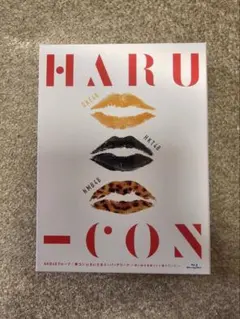 【新品・未開封】HARU-CON AKB48グループ 春コン in さいたま 新品・未開封】HARU-CON AKB48グループ 春コン in さいたま