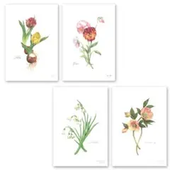 ポプラ様　専用ページ