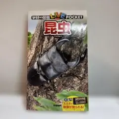 Item thumbnail for item e9b4e0bd-690f-4eda-b18d-8a1761b46775