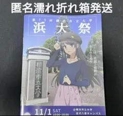 非売品 青春ブタ野郎 青ブタ 浜大祭 コラボ パンフレット 冊子 桜島麻衣