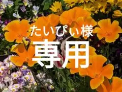 たいぴぃ様 リクエスト 3点 まとめ商品