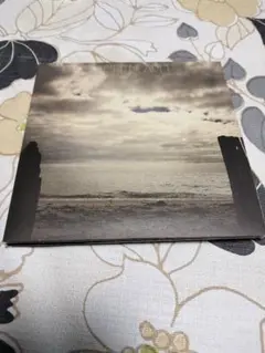 Item thumbnail for item 649bed51-2d9e-4a34-aea1-fc972ef6c132