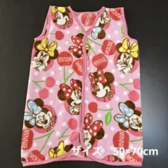 スリーパー ミニー　サイズ50×70 　やや長め
