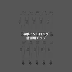 計測用チップ　ネイルチップ