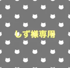 2/1しず様専用ページ