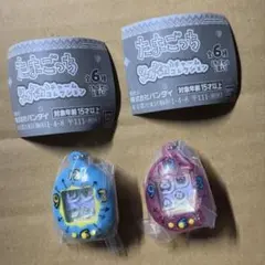 たまごっちシャカシャカチャームコレクション 透明ピンク ブルー