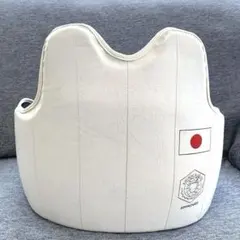 Item thumbnail for item 27cbb5ce-1112-491f-835e-985499f661af