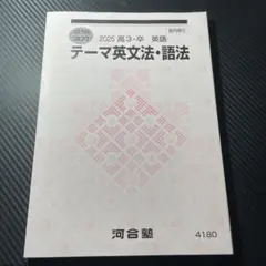 河合塾 夏期講習 テキスト テーマ英文法・語法