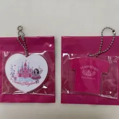 松田聖子 コンサートツアー2026 ランダムアクリルチャーム ピンク