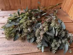 muguet.様 リクエスト 2点 まとめ商品