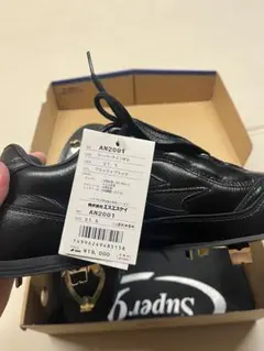 Item thumbnail for item 09a02d14-7018-47f0-a25a-8c7d0386bf42