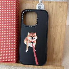 CASETiFY casetify iPhone 16 pro