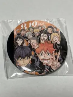 ハイキュー　缶バッジ　烏野　2025