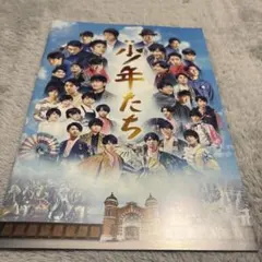 少年たち パンフレット
