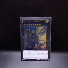 サンダーエンド・ドラゴン（レリーフ）