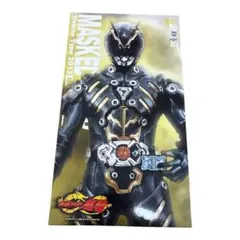 RAH 仮面ライダーファイズ 2011 デラックスタイプ開封済み・未使用