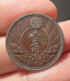 コーヒーの木様 リクエスト 2点 まとめ商品