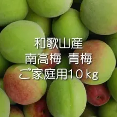 【しい様専用】和歌山産 家庭用南高梅(青梅)10kg サイズ 不揃い 小傷あり
