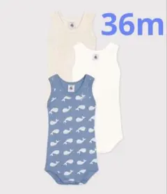 Item thumbnail for item 80c0377b-0824-423e-b916-d2d161219434