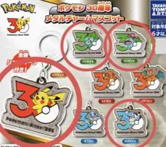 ポケモン30周年　メタルチャーム　マスコット　4点
