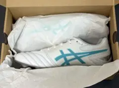 ASICS アシックス DS LIGHT PRO 27.5