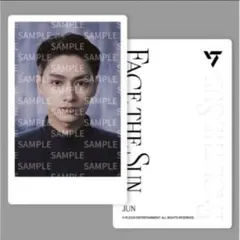 Face The Sun instant photo card ジュン - メルカリ