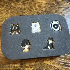 Eve ピンバッジセット