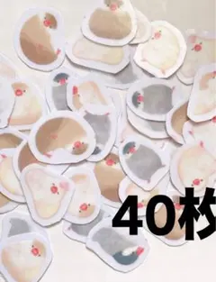 新作★【f59】文鳥40枚★ハンドメイドフレークシール交換紙モノ