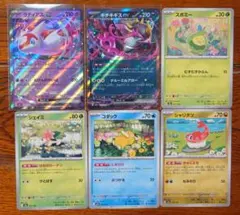 ポケモンカード　汎用カードセット