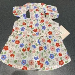 Item thumbnail for item 8e764c34-62c3-4238-a8f5-d227c0e0deda