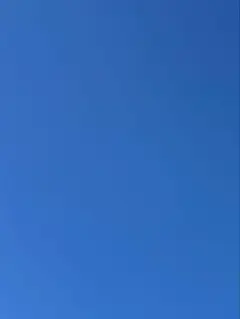 巴様専用 着払い