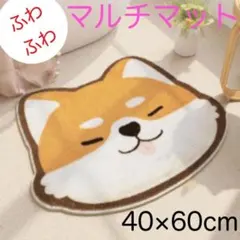 Item thumbnail for item e53b64de-2ea9-4964-b8f9-3b781e91500b